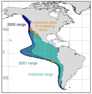 Distribución de Dosidicus gigas en el Océano Pacífico
